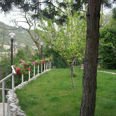 B&B La Culla Di Trieszt Kültér fotó